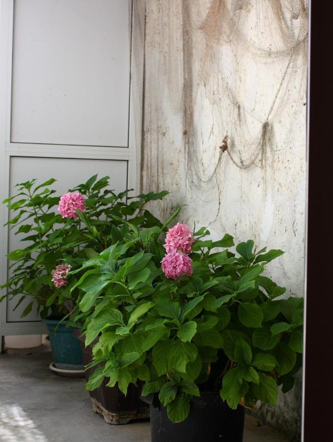 Rooms & Apartments Dolac هفار المظهر الخارجي الصورة